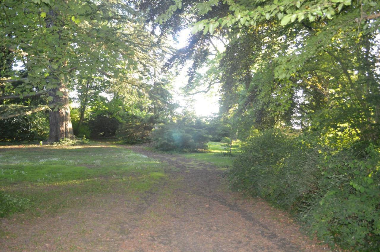 La Gentilhommiere Du Chateau De Ragnies Exterior foto